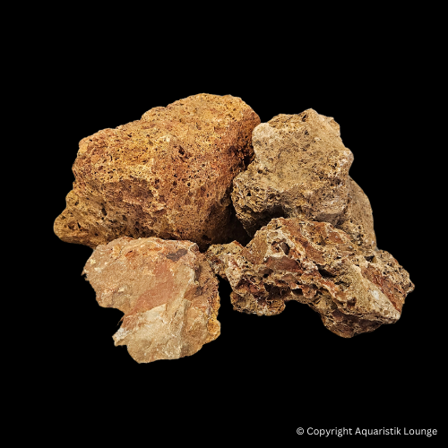 Versteinertes Holz