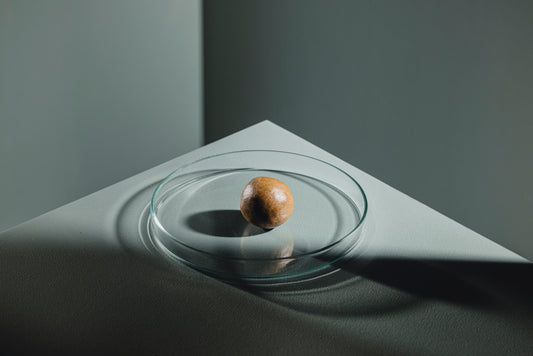 Rote Mückenlarven Paste