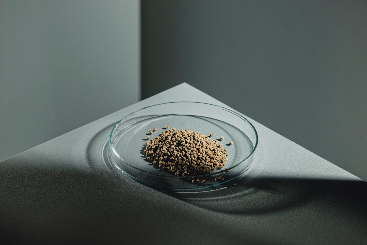 Crusta Plus Insekten Chips