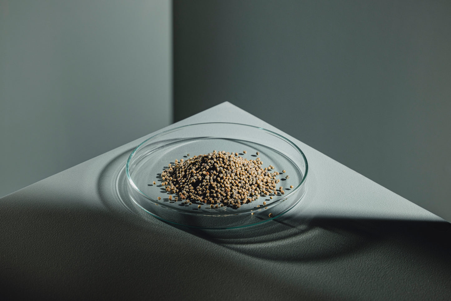 Buntbarsch Spirulina Softgranulat