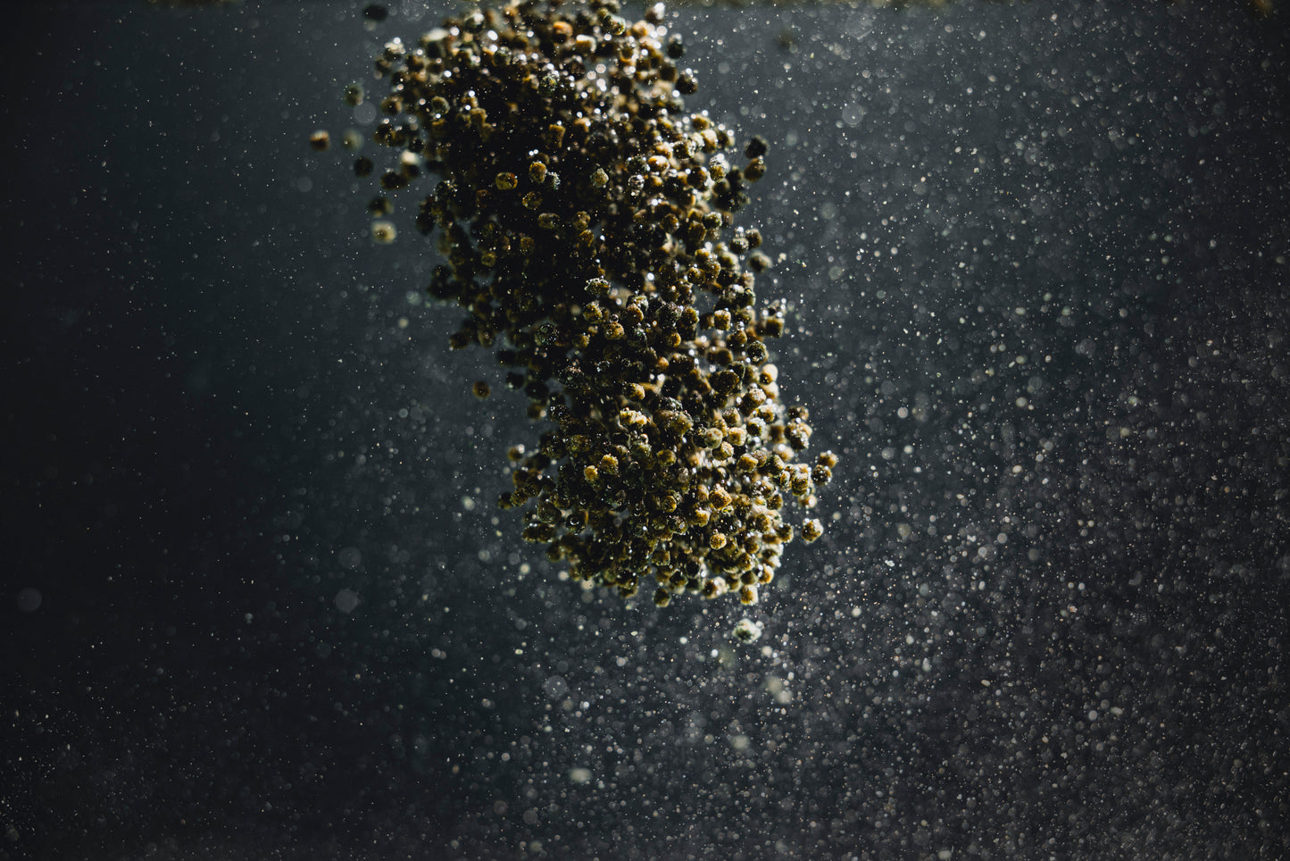 Buntbarsch Spirulina Softgranulat