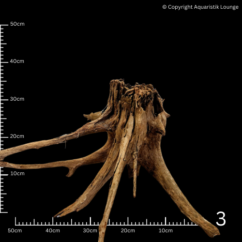 Corbo Stump