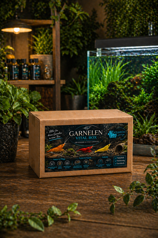 Garnelen Vital Box