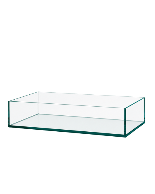 Aquarium 50x40x25cm (LxTxH) 50l Apistogramma Becken