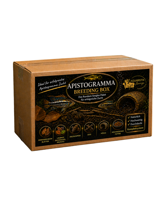 Apistogramma Zucht Box