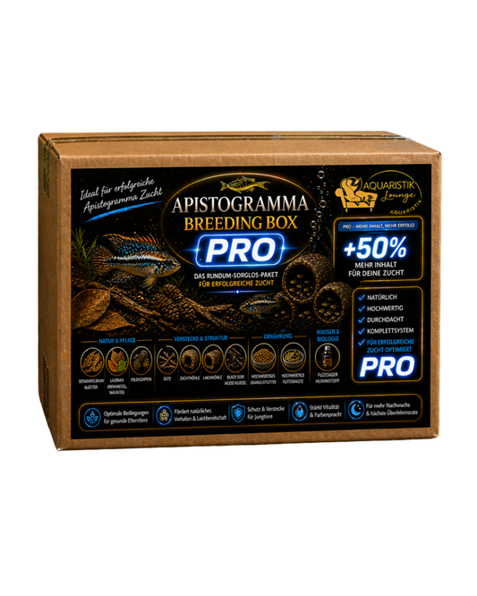 Apistogramma Zuchtbox PRO