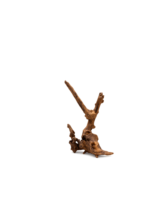 Black Slim Wood Wurzel XS