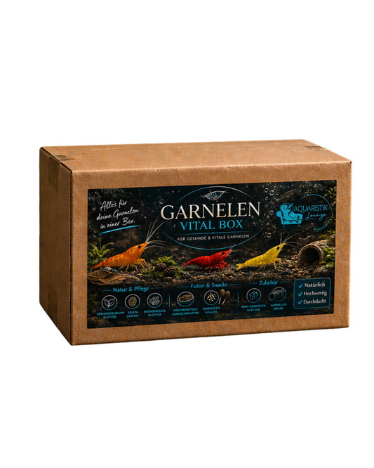 Garnelen Starterset Box