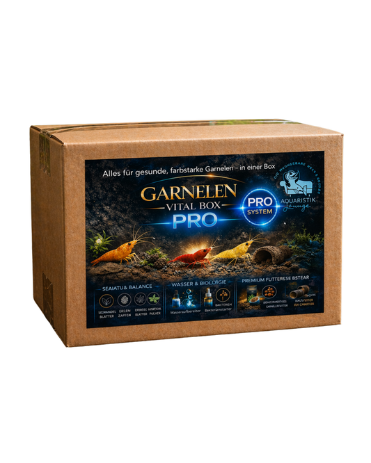 Garnelen Starterset Box PRO