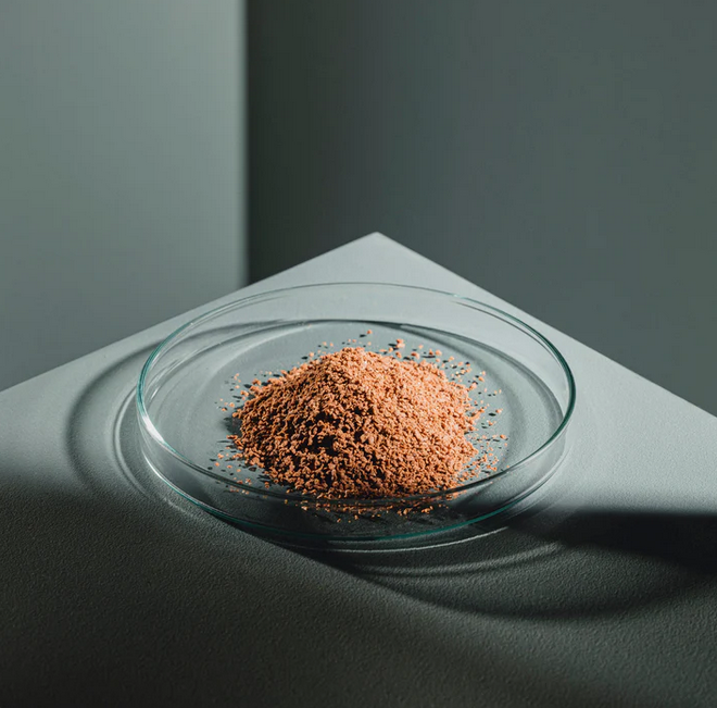 Skalar Protein+ Granulat M