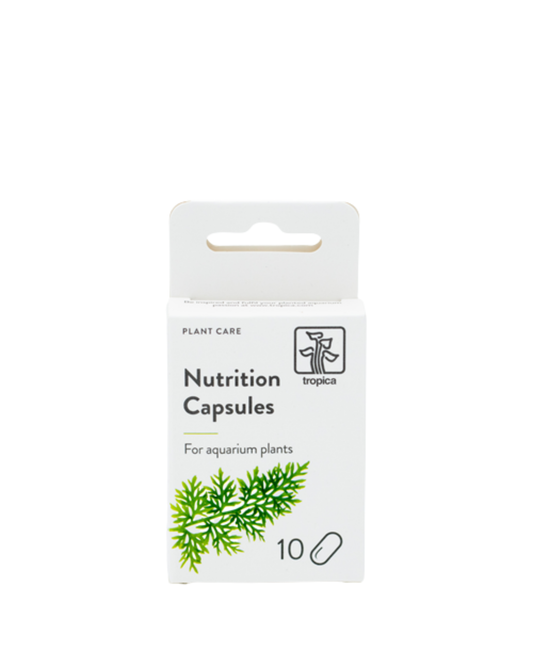 Tropica Düngekapseln