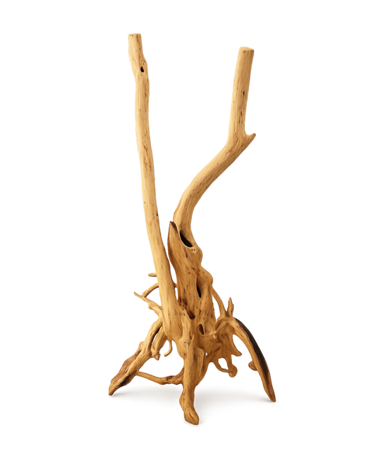 Wood Stump L