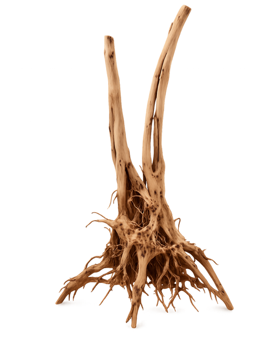 Wood Stump XL